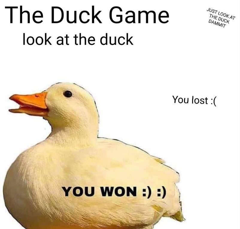 duck - Just Look At The Duck Dammit The Duck Game look at the duck You lost You Won
