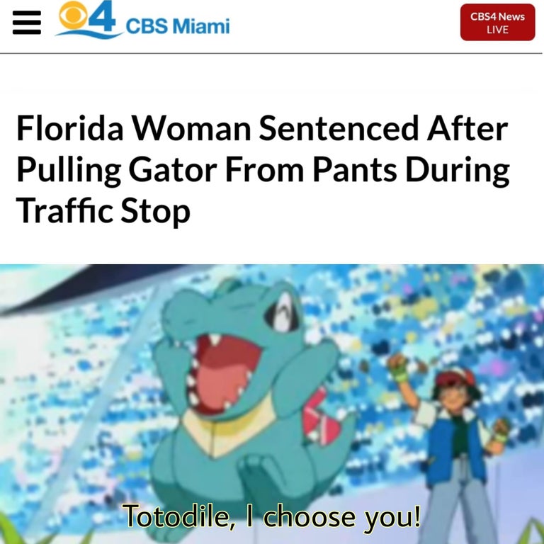ash totodile - Iii 4 Cbs Miami CBS4 News Live Florida Woman Sentenced After Pulling Gator From Pants During Traffic Stop Totodile, I choose you!