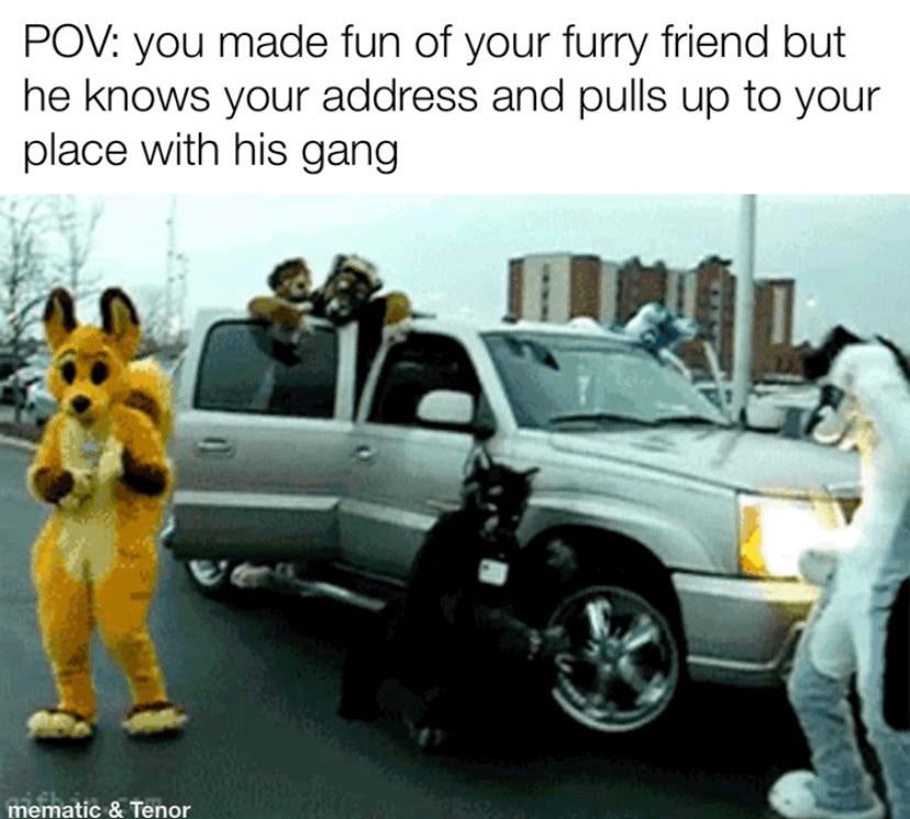 luxury vehicle - Pov you made fun of your furry friend but he knows your address and pulls up to your place with his gang mematic & Tenor