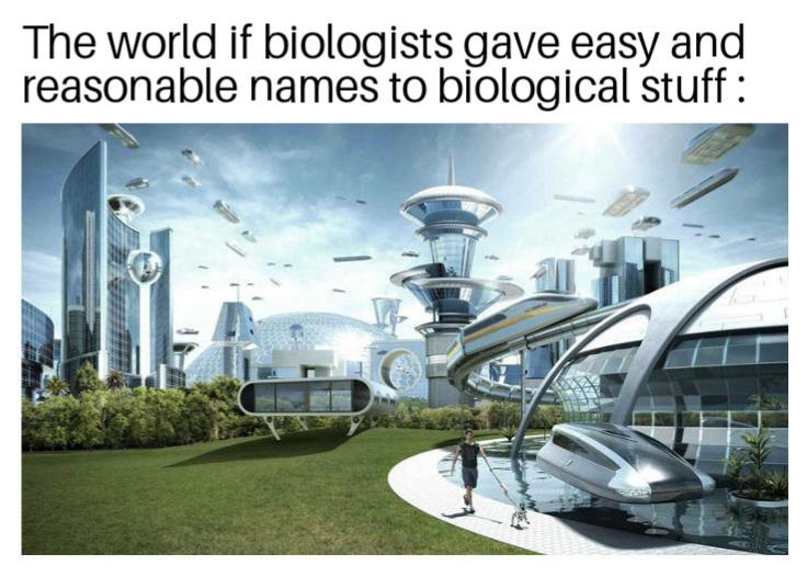 society if dads went to therapy - The world if biologists gave easy and reasonable names to biological stuff
