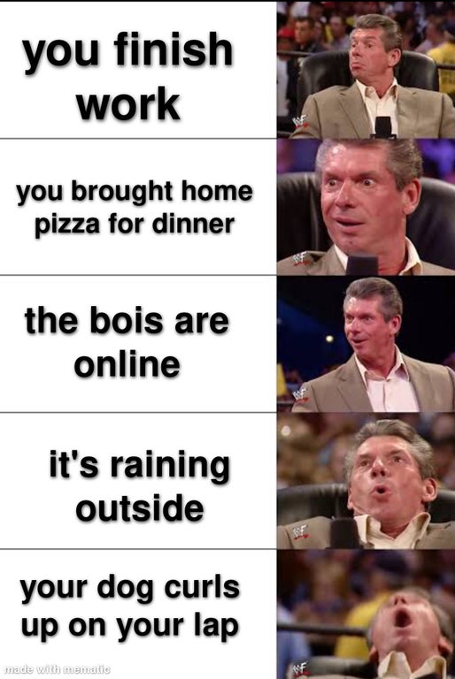 60fps meme - you finish work you brought home pizza for dinner the bois are online it's raining outside your dog curls up on your lap made with mematie