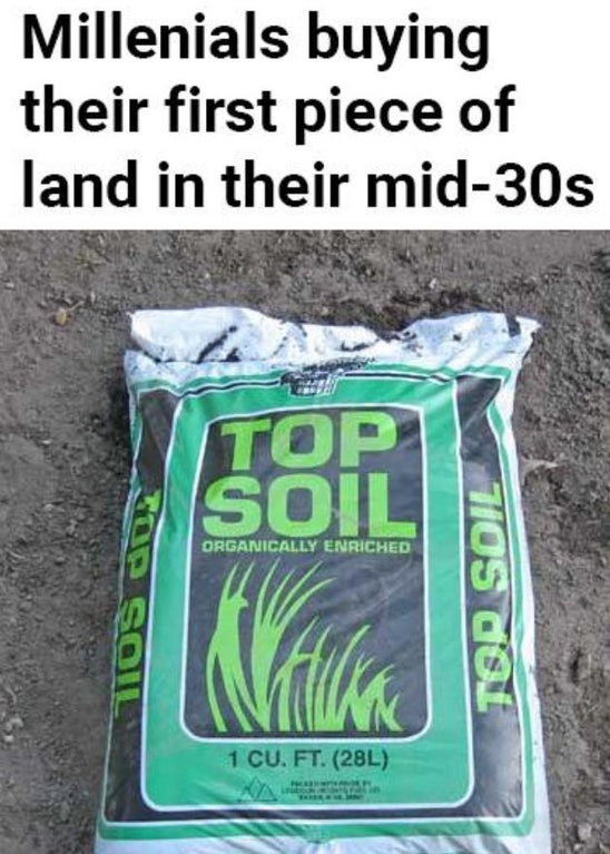 grass - Millenials buying their first piece of land in their mid30s Top Soil Organically Enriched Sol Tor Soil Velle 1 Cu. Ft. 28L Aa