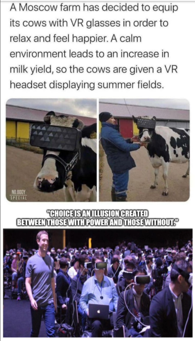 matrix meme - A Moscow farm has decided to equip its cows with Vr glasses in order to relax and feel happier. A calm environment leads to an increase in milk yield, so the cows are given a Vr headset displaying summer fields. "Choice Is An Illusion Create