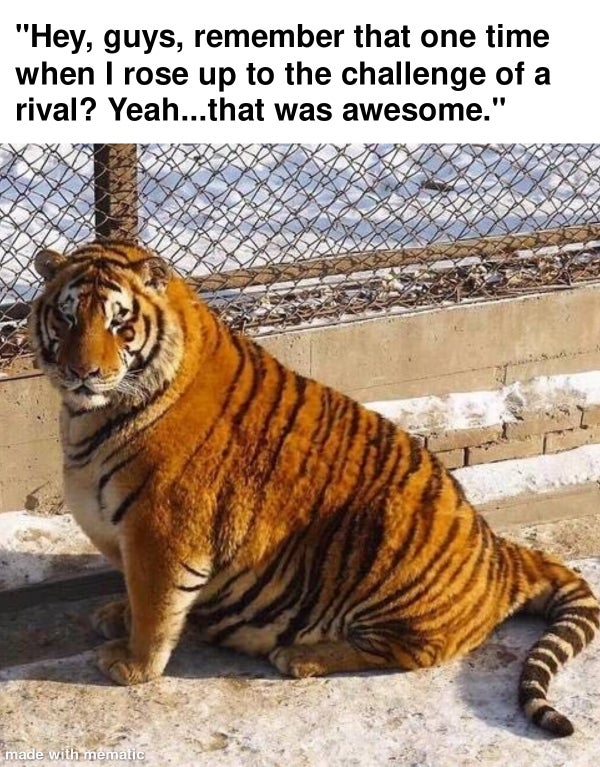 fat tiger - "Hey, guys, remember that one time when I rose up to the challenge of a rival? Yeah...that was awesome." made with mematic