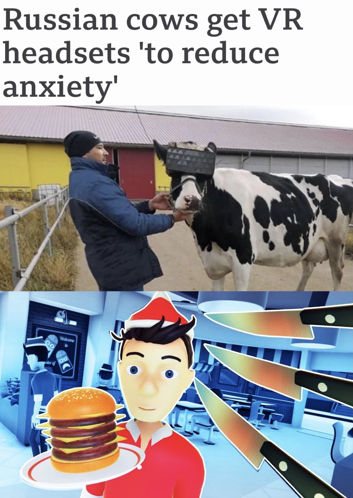cow with vr goggles - Russian cows get Vr headsets 'to reduce anxiety' Q0 Welcome lo aler of Do