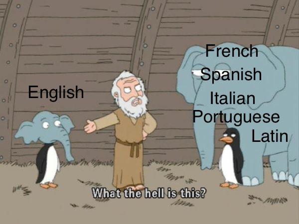 hell is this meme template - o O English French Spanish Italian Portuguese Latin What the hell is this?