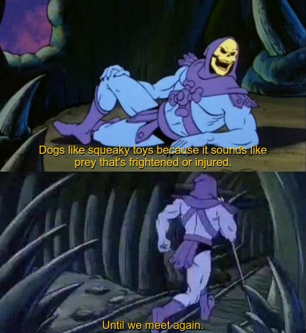 skeletor meme - Dogs squeaky toys because it sounds prey that's frightened or injured. Until we meet again.