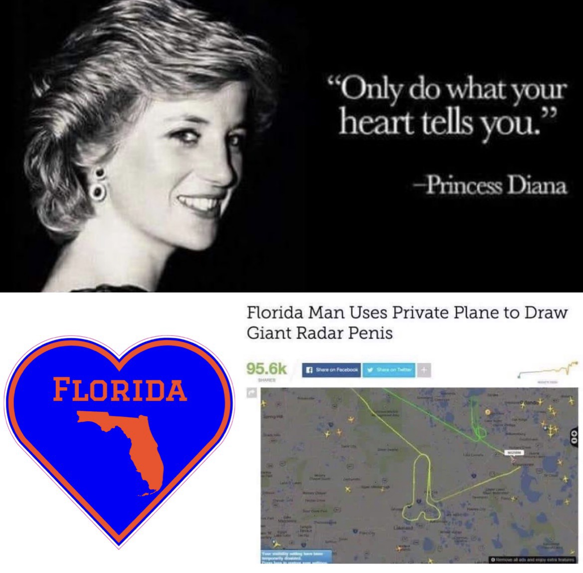 "Only do what your heart tells you." Princess Diana Florida Man Uses Private Plane to Draw Giant Radar Penis on Facebook Show on Twith Sh Florida malas anderes