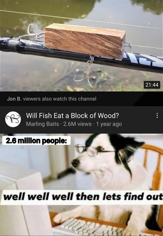 well well well then let's find out - Jon B. viewers also watch this channel B Will Fish Eat a Block of Wood? Marling Baits 2.6M views 1 year ago 2.6 million people well well well then lets find out