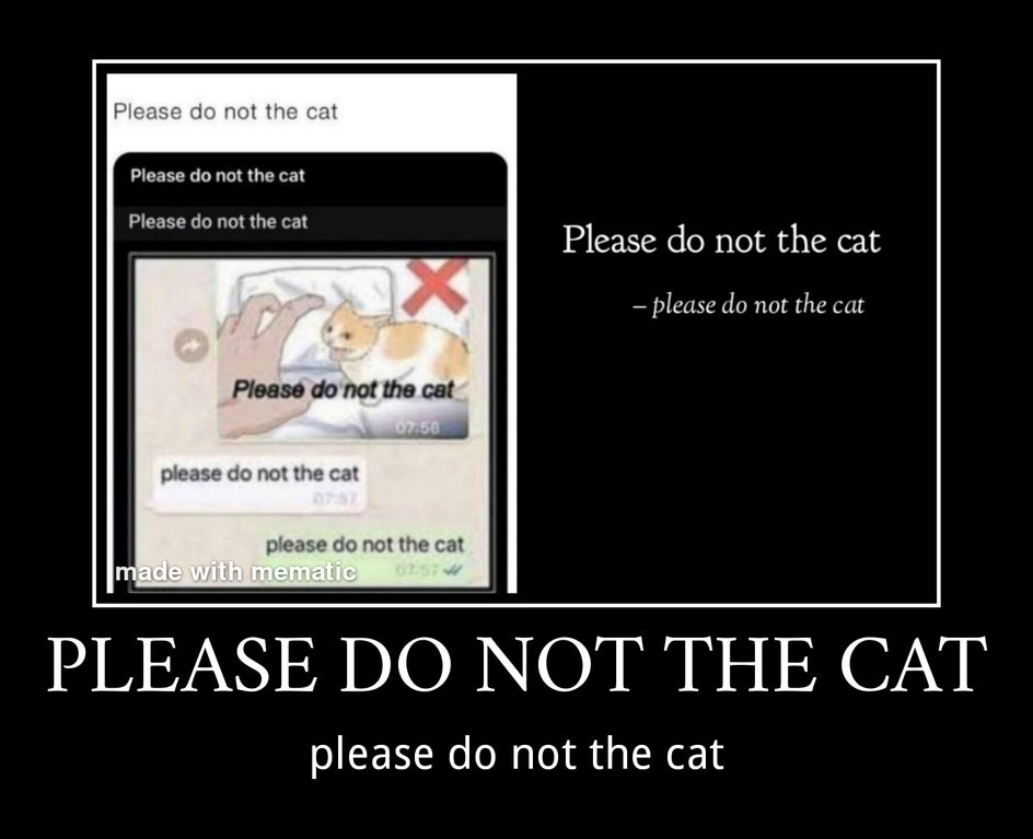 media - Please do not the cat Please do not the cat Please do not the cat Please do not the cat please do not the cat Please do not the cat please do not the cat please do not the cat made with mematic Please Do Not The Cat please do not the cat
