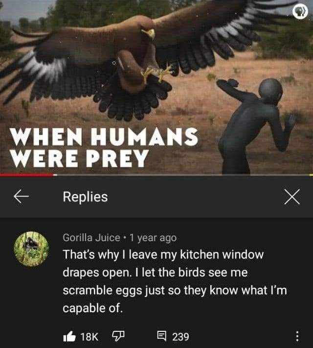 humans prey - 2 When Humans Were Prey f Replies X Gorilla Juice 1 year ago That's why I leave my kitchen window drapes open. I let the birds see me scramble eggs just so they know what I'm capable of. 18K E 239