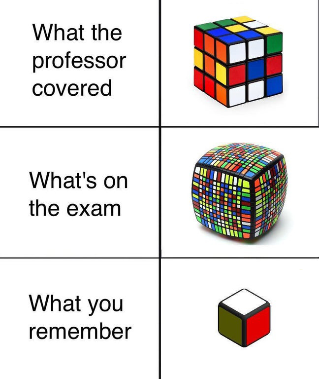 professor covered meme - What the professor covered What's on the exam What you remember