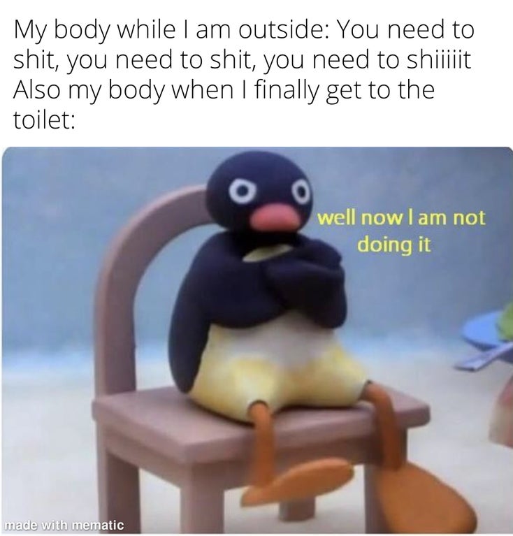 well now i m not gonna do - My body while I am outside You need to shit, you need to shit, you need to shiiiiit Also my body when I finally get to the toilet 0 well now I am not doing it made with mematic