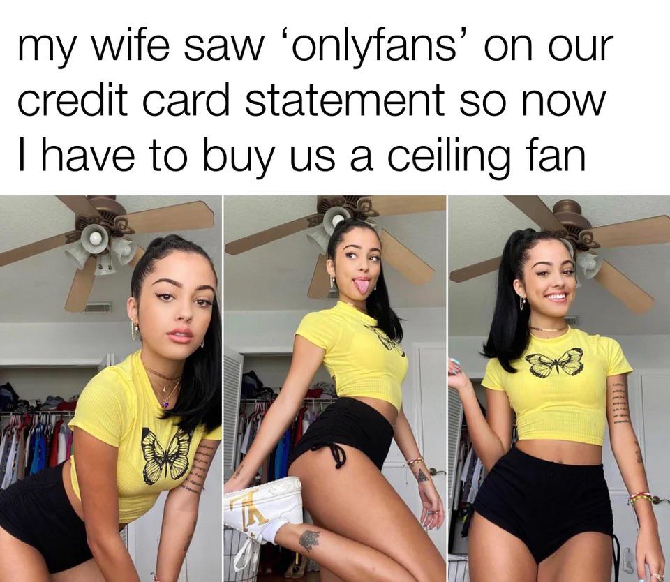 onlyfans credit card statement - my wife saw onlyfans' on our credit card statement so now I have to buy us a ceiling fan Mine Mw Ol