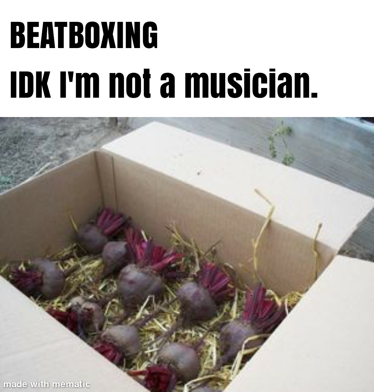 produce - Beatboxing Idk I'm not a musician. made with mematic