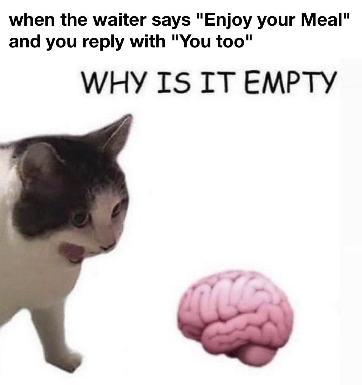 empty brain meme - when the waiter says "Enjoy your Meal" and you with "You too" Why Is It Empty
