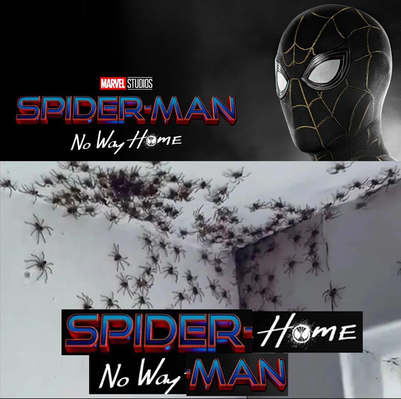 huntsman spider infestation - Marvel Studios SpiderMan No Way Home Spider Home No Way Man