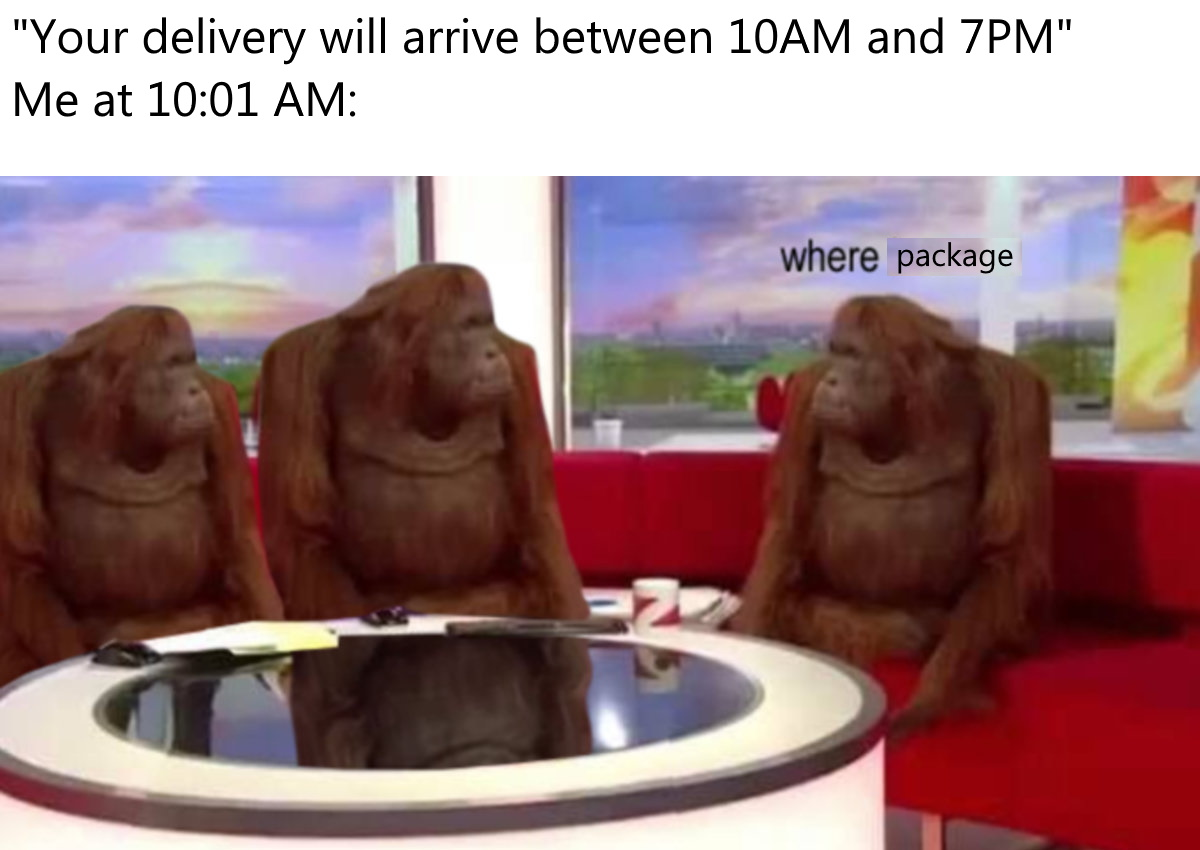 confused monke - "Your delivery will arrive between 10AM and 7PM" Me at where package