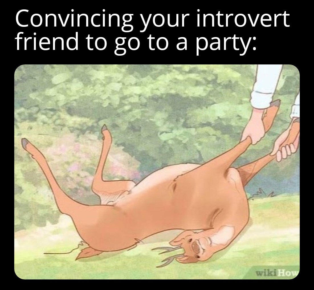 wholesome animal memew - Convincing your introvert friend to go to a party wikiHow