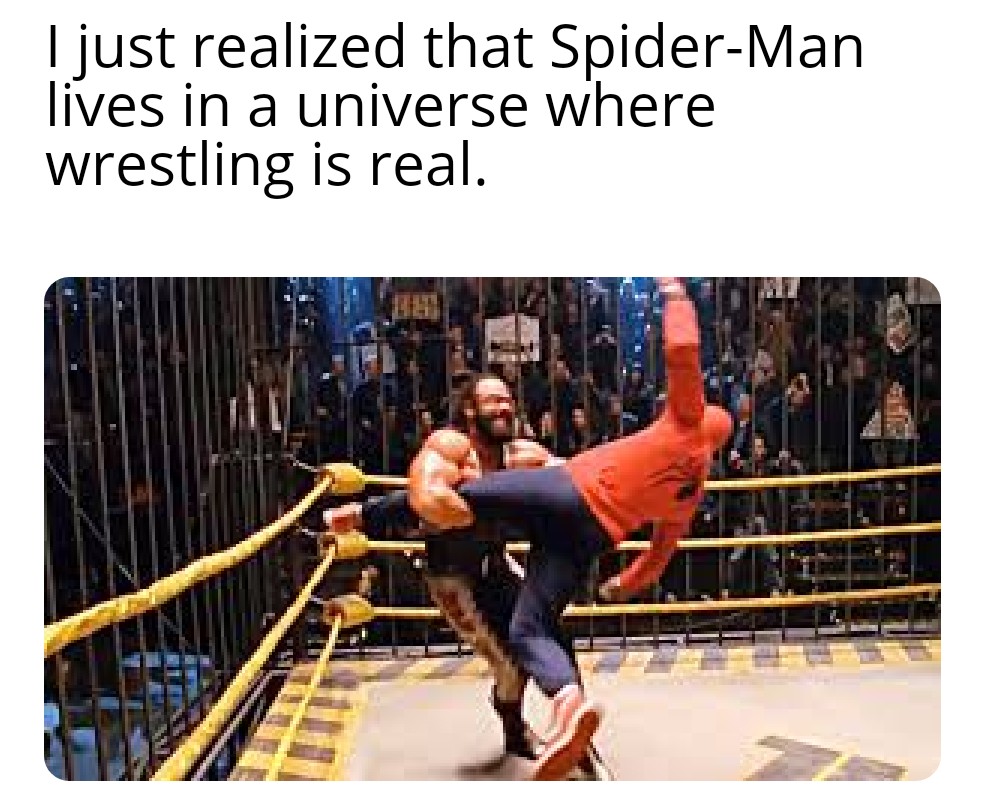 pradal serey - I just realized that SpiderMan lives in a universe where wrestling is real.