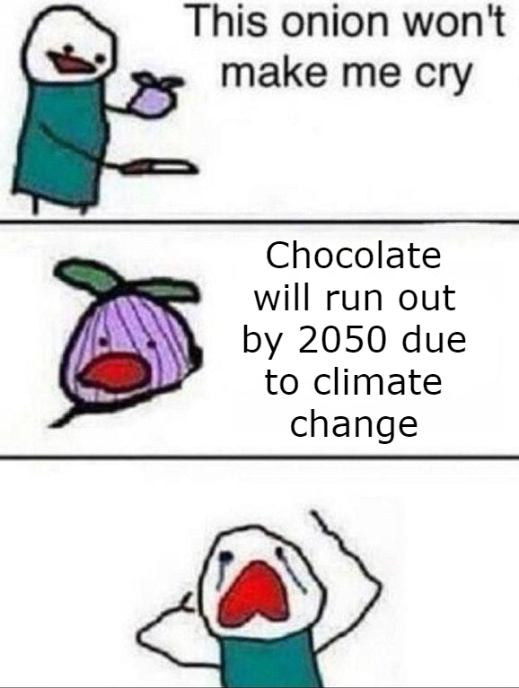 onion won t make me cry - This onion won't make me cry Chocolate will run out by 2050 due to climate change