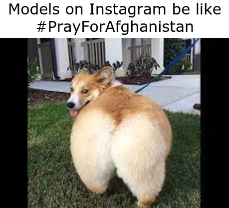 edgy doge memes - Models on Instagram be
