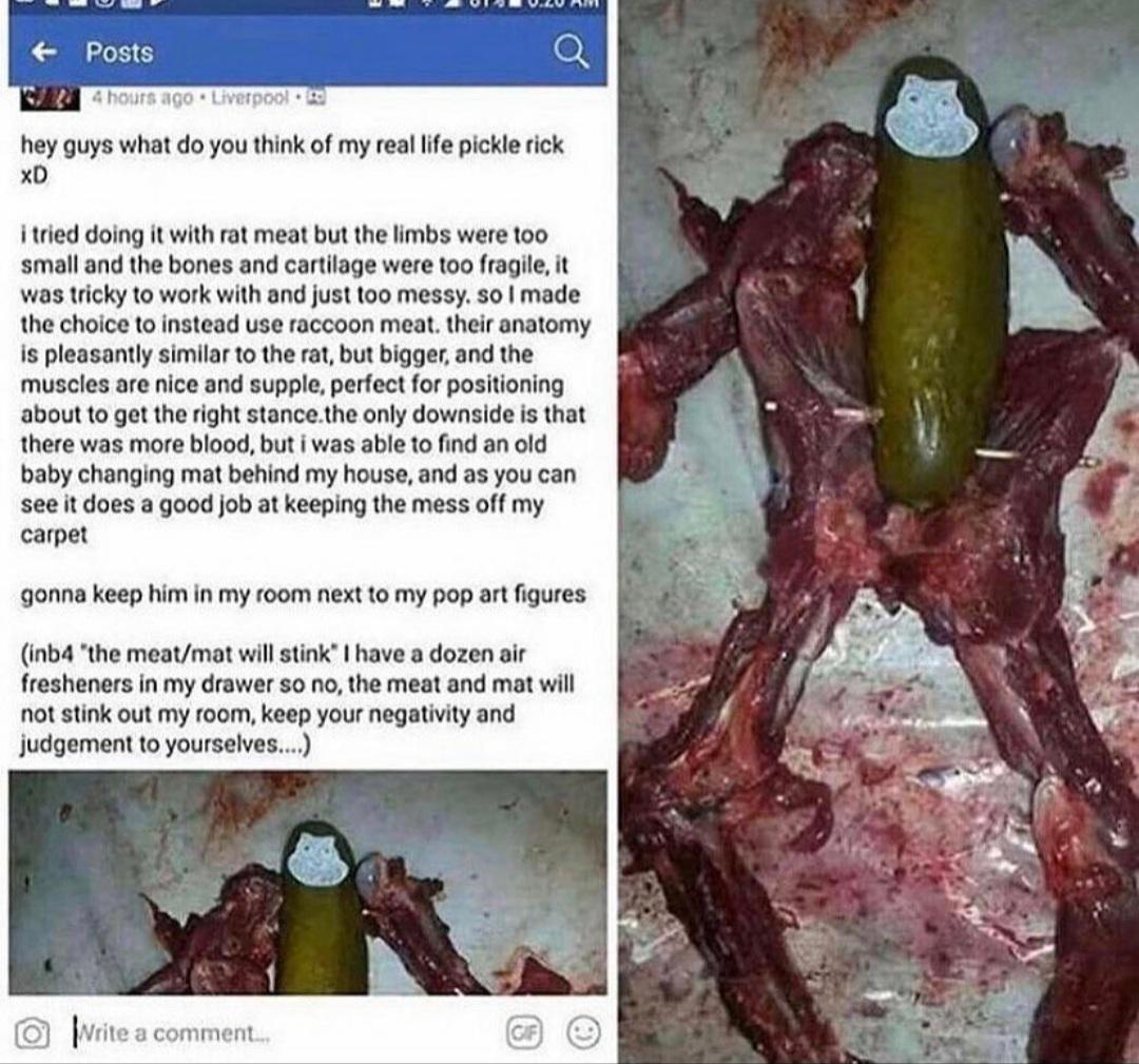seafood - f Posts Q 24 hours ago Liverpool hey guys what do you think of my real life pickle rick Xd i tried doing it with rat meat but the limbs were too small and the bones and cartilage were too fragile, it was tricky to work with and just too messy. s