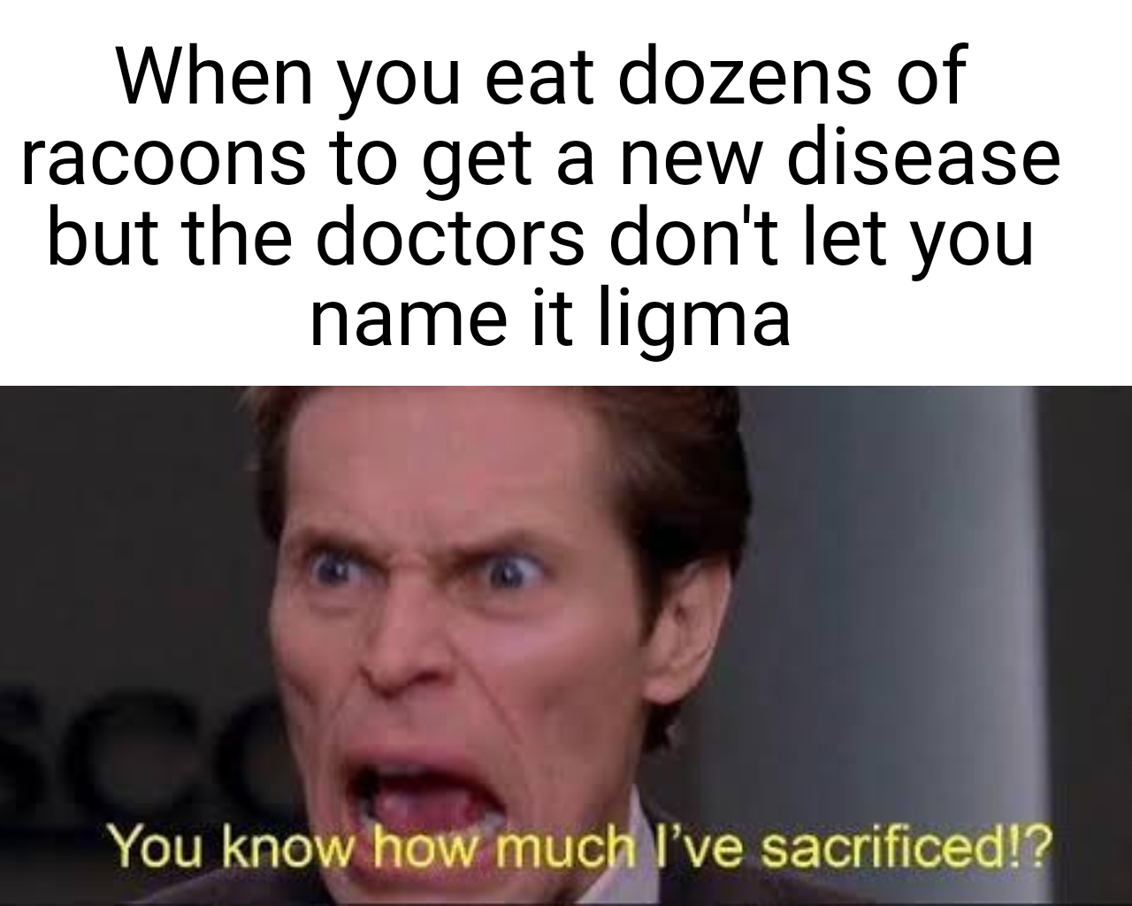 photo caption - When you eat dozens of racoons to get a new disease but the doctors don't let you name it ligma You know how much I've sacrificed!?