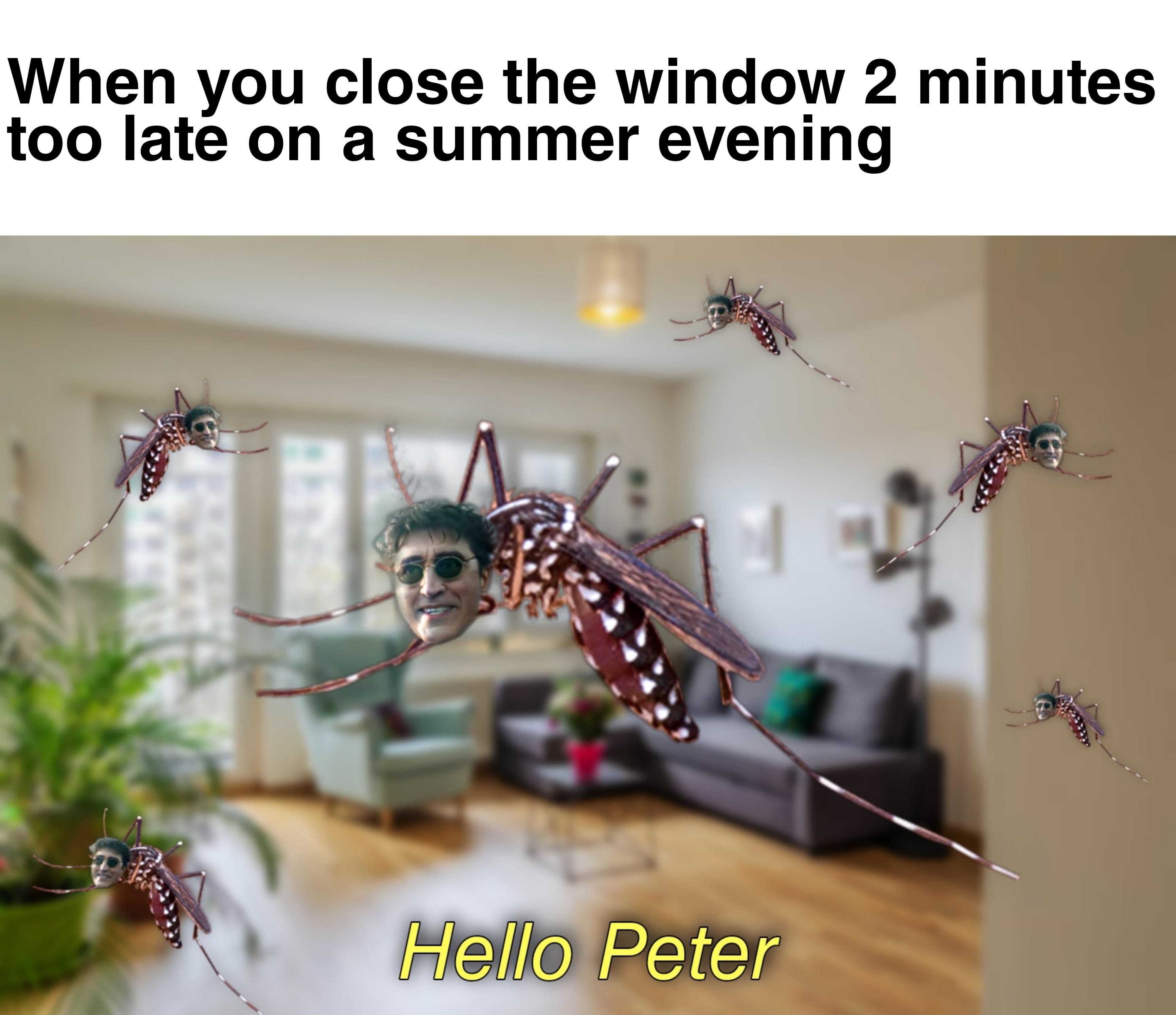angle - When you close the window 2 minutes too late on a summer evening Hello Peter