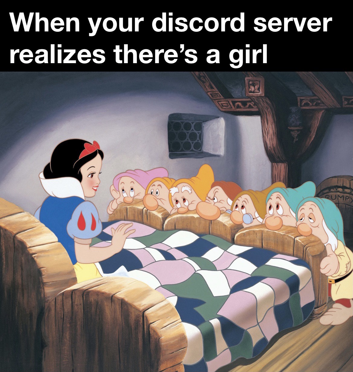 snow white scenes cartoon - When your discord server realizes there's a girl Qumpy