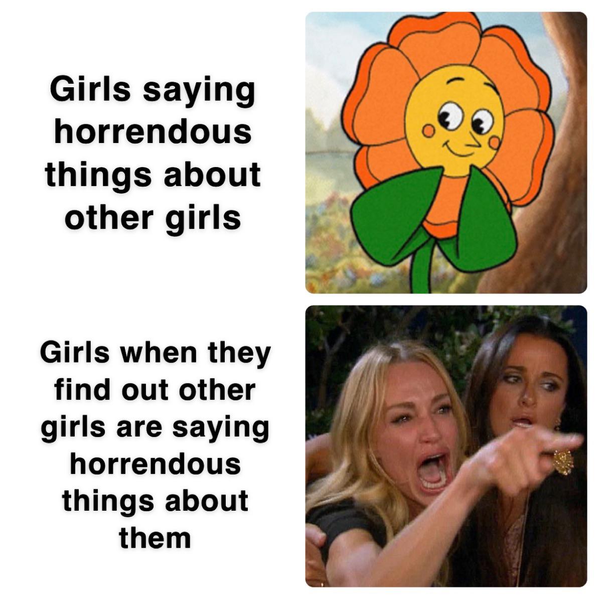 cat memes - Girls saying horrendous things about other girls Girls when they find out other girls are saying horrendous things about them