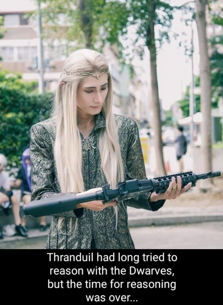 playing fallout after playing skyrim - Thranduil had long tried to reason with the Dwarves, but the time for reasoning was over...