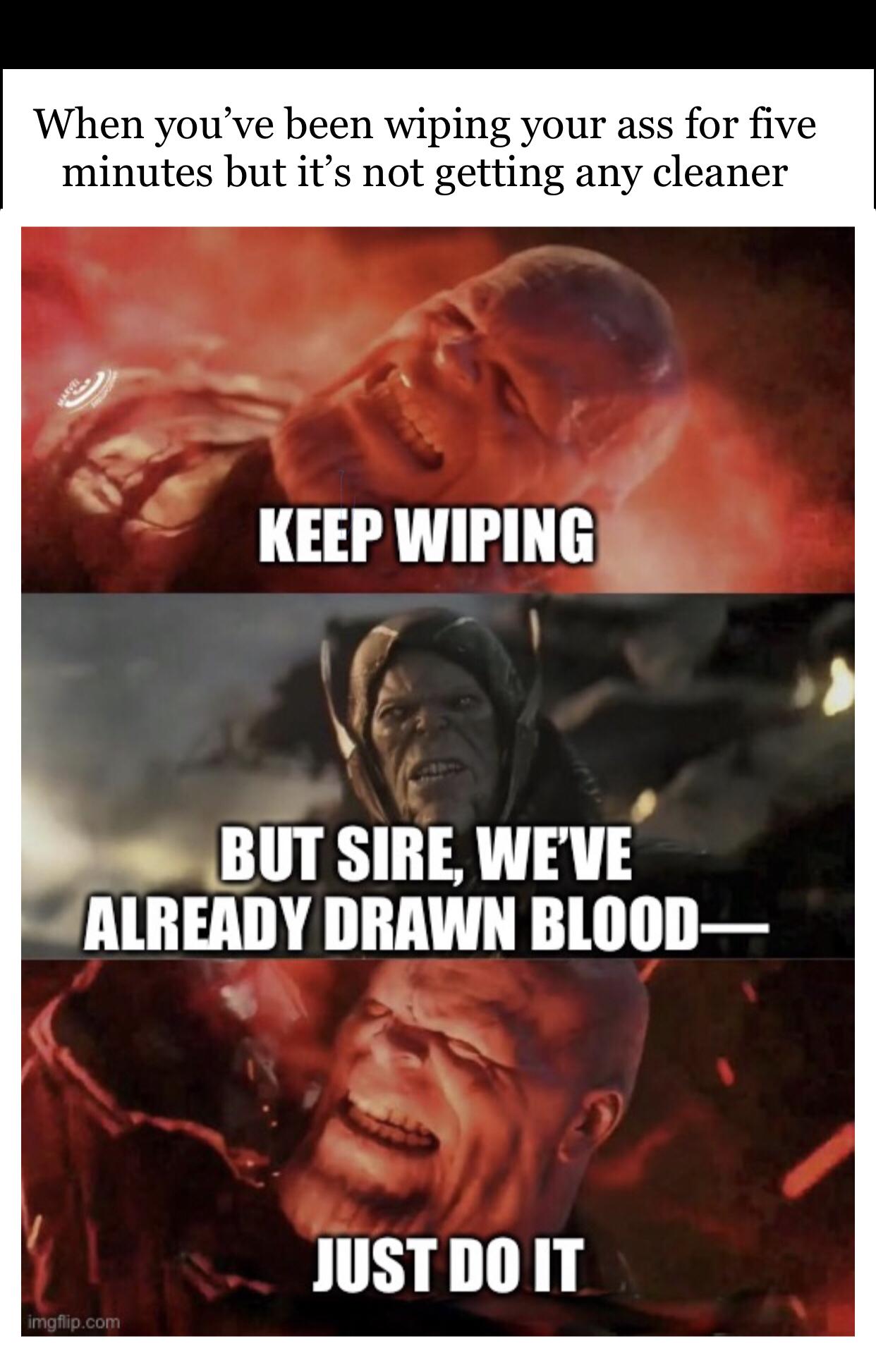 it meme thanos - When you've been wiping your ass for five minutes but it's not getting any cleaner Keep Wiping But Sire, We'Ve Already Drawn Blood Just Do It imgflip.com