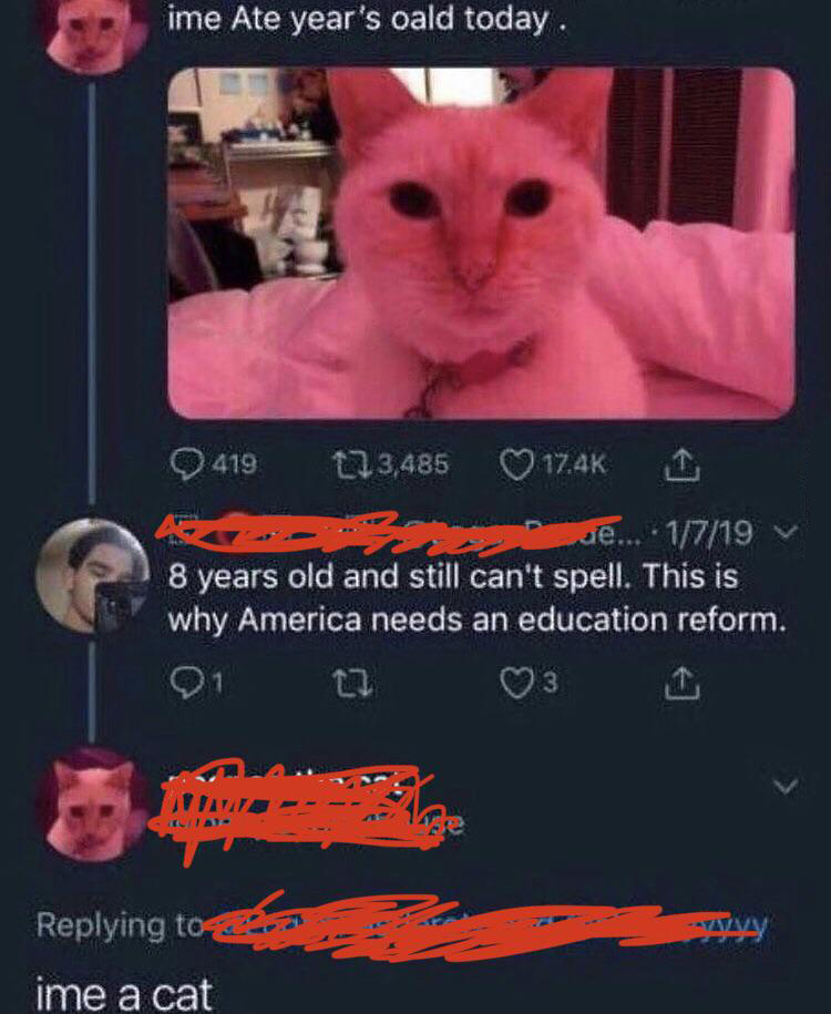 peepee the cat nugget - ime Ate year's oald today. 419 12 3,485 17.Ak se... .1719 V 8 years old and still can't spell. This is why America needs an education reform. 91 t 3 Yayavv ime a cat