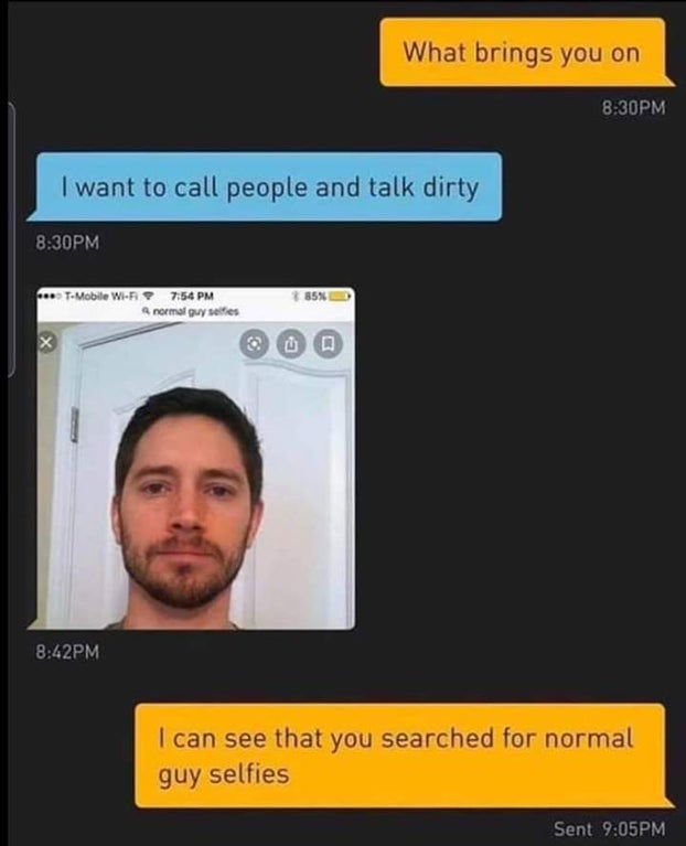 catfish meme - What brings you on Pm I want to call people and talk dirty Pm 85 TMobile Wi F normal guy selfies un Pm I can see that you searched for normal guy selfies Sent Pm