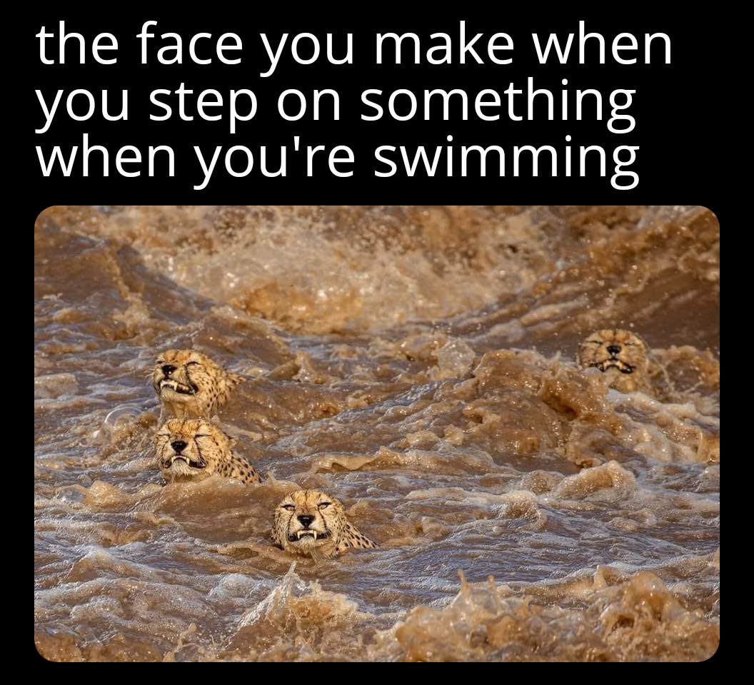 seaweed meme - the face you make when you step on something when you're swimming