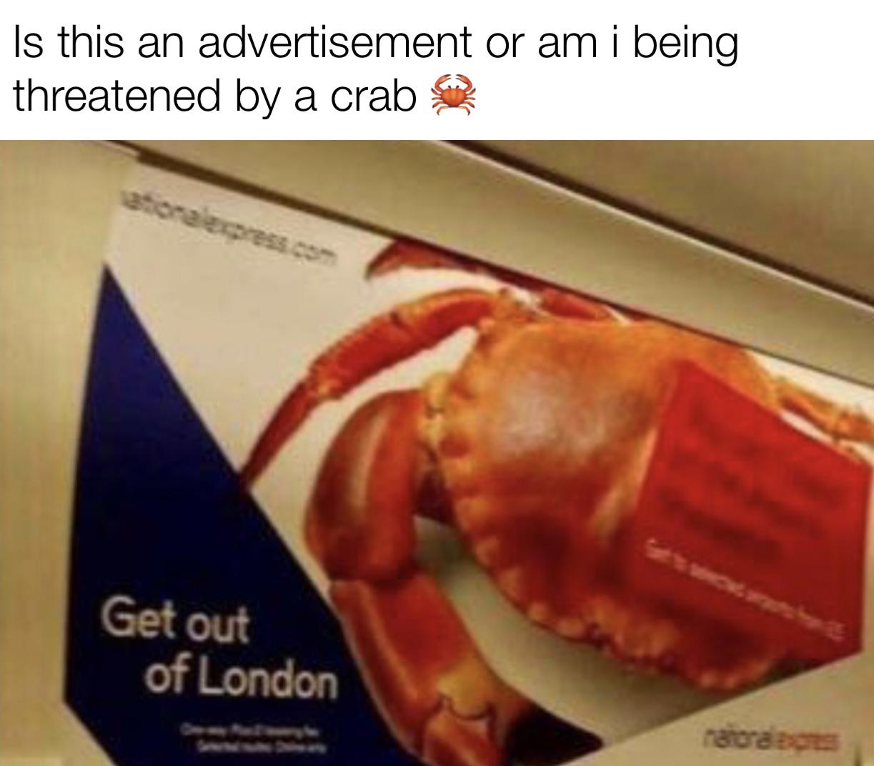 feel like this crab is threatening me - Is this an advertisement or am i being threatened by a crab asonalupress.com Get out of London natora za
