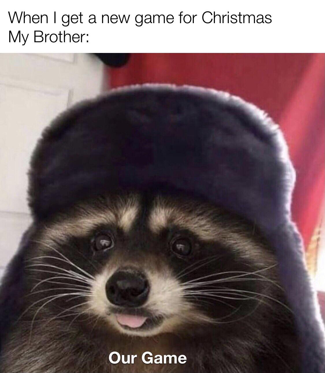 comrade raccoon - When I get a new game for Christmas My Brother Our Game