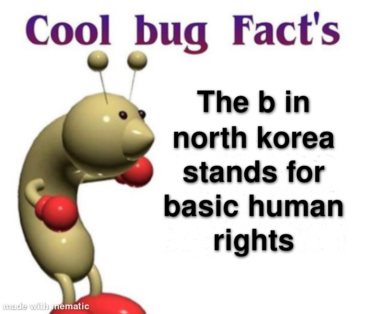 cartoon - Cool bug Fact's The b in north korea stands for basic human rights made with mematic