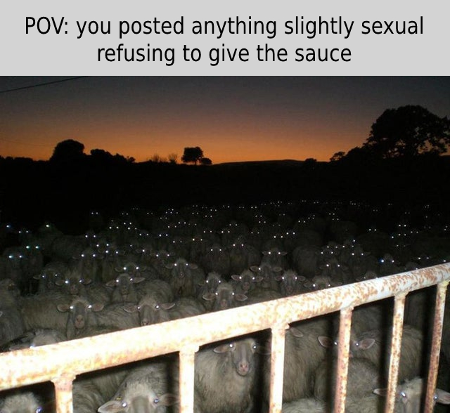 make you scared - Pov you posted anything slightly sexual refusing to give the sauce
