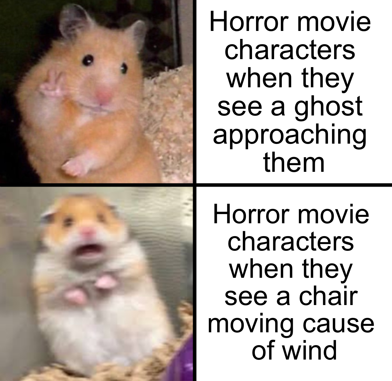 meme template scared - Horror movie characters when they see a ghost approaching them Horror movie characters when they see a chair moving cause of wind