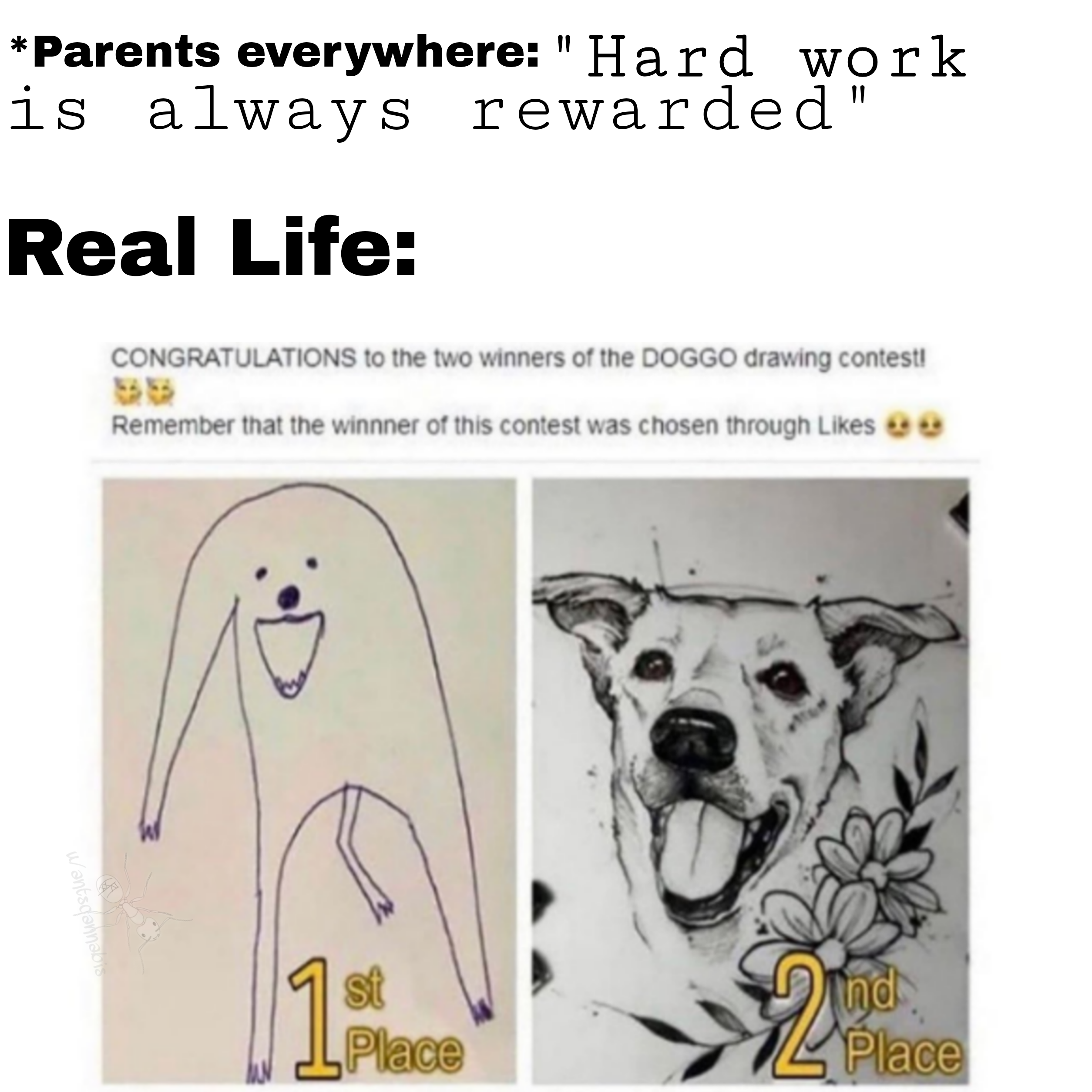 congratulations to the two winners of the doggo drawing contest - Parents everywhere"Hard work is always rewarded" Real Life Congratulations to the two winners of the Doggo drawing contest! Remember that the winner of this contest was chosen through 0 0 s