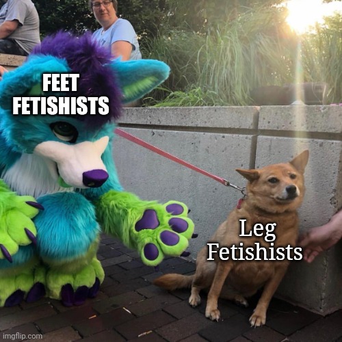furry and dog meme template - Feet Fetishists Leg Fetishists imgflip.com
