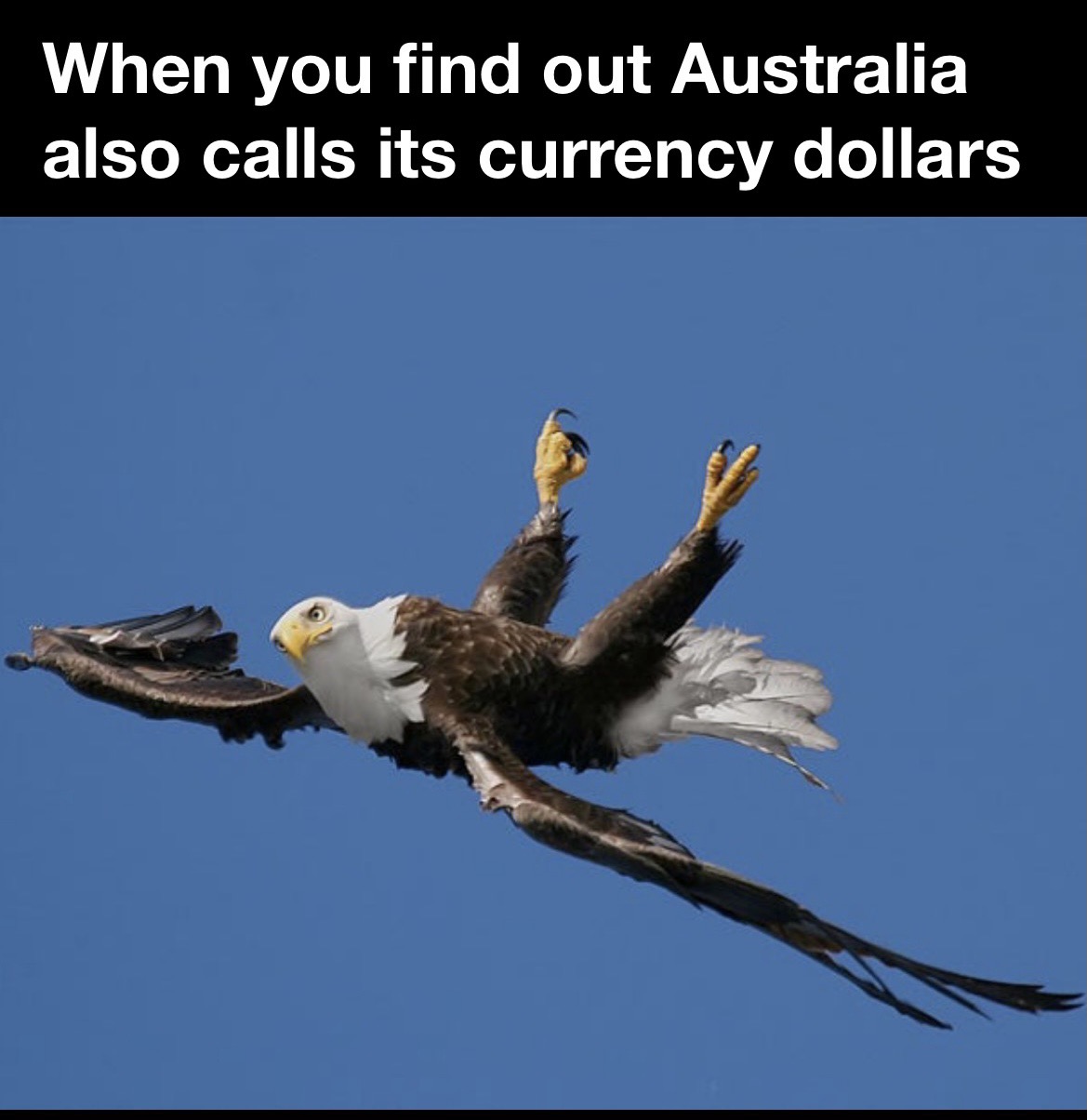 eagle flying upside down - When you find out Australia also calls its currency dollars