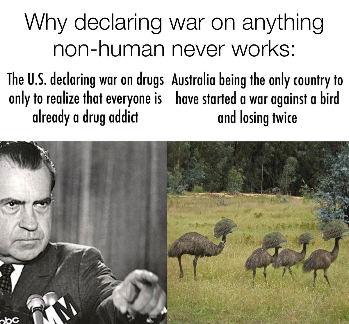 fauna - Why declaring war on anything nonhuman never works The U.S. declaring war on drugs Australia being the only country to only to realize that everyone is have started a war against a bird already a drug addict and losing twice nbc