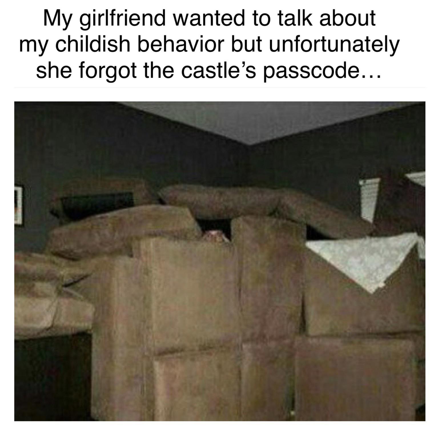 dank memes - immaturity password - My girlfriend wanted to talk about my childish behavior but unfortunately she forgot the castle's passcode...