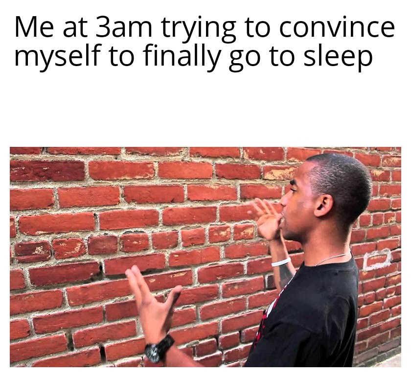 dank memes - brick - Me at 3am trying to convince myself to finally go to sleep