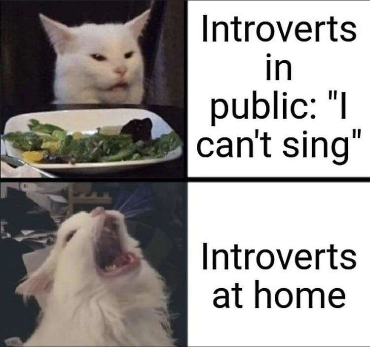 thurston waffles meme - Introverts in public "I can't sing" Introverts at home
