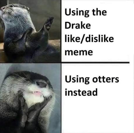 cute otters - Using the Drake dis meme Using otters instead