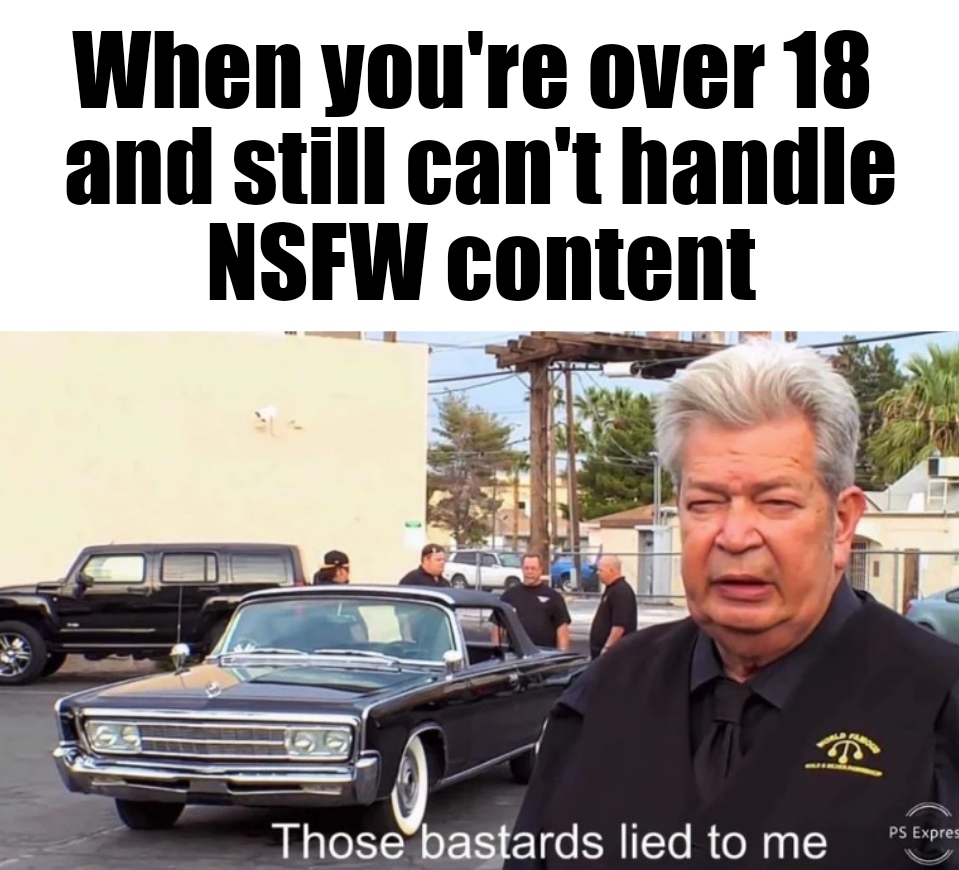 they lied to me meme - When you're over 18 and still can't handle Nsfw content Ps Expres Those bastards lied to me